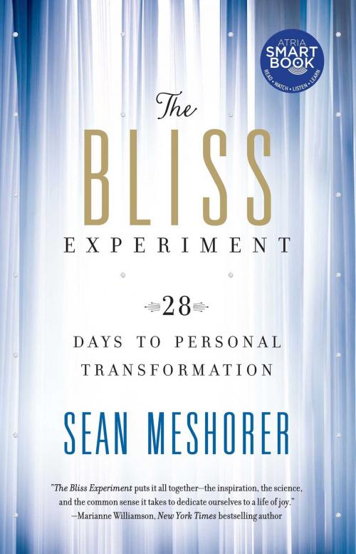 Cover of the book The Bliss Experiment by Sean Meshorer, Atria Books