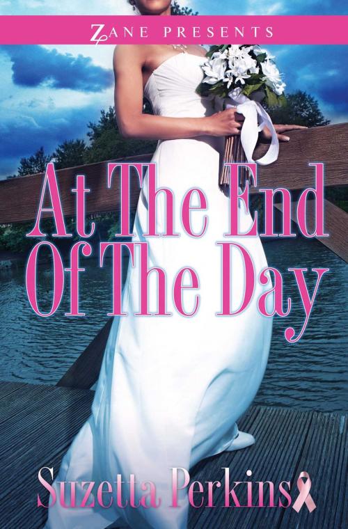 Cover of the book At the End of the Day by Suzetta Perkins, Strebor Books