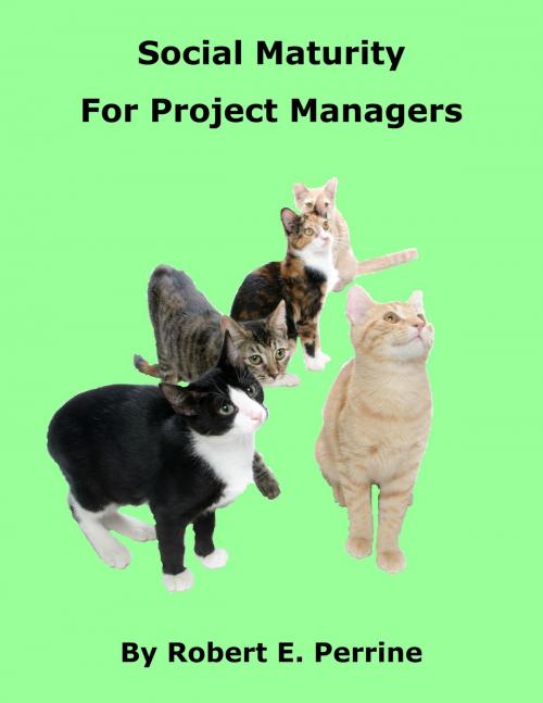 Cover of the book Social Maturity for Project Managers by Robert Perrine, Robert Perrine