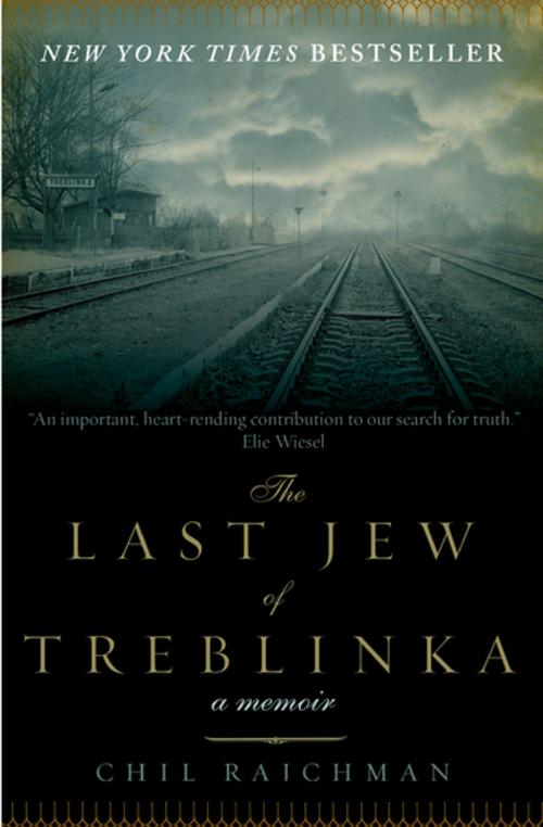 Cover of the book The Last Jew of Treblinka by Chil Rajchman, Pegasus Books