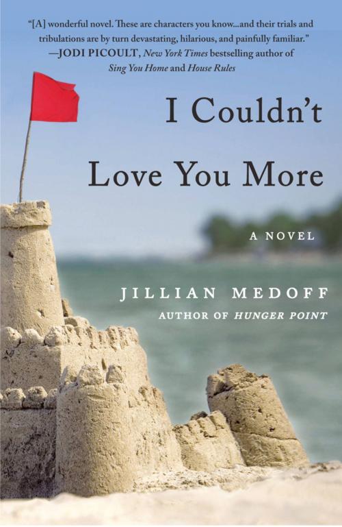 Cover of the book I Couldn't Love You More by Jillian Medoff, Grand Central Publishing