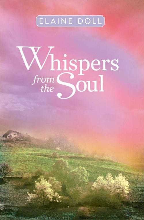 Cover of the book Whispers from the Soul by Elaine Doll, Abbott Press