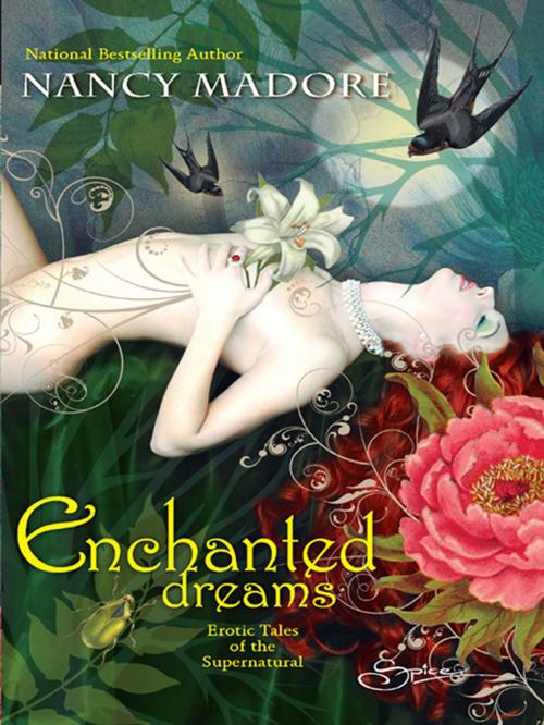 Cover of the book Enchanted Dreams: Erotic Tales of the Supernatural by Nancy Madore, Spice