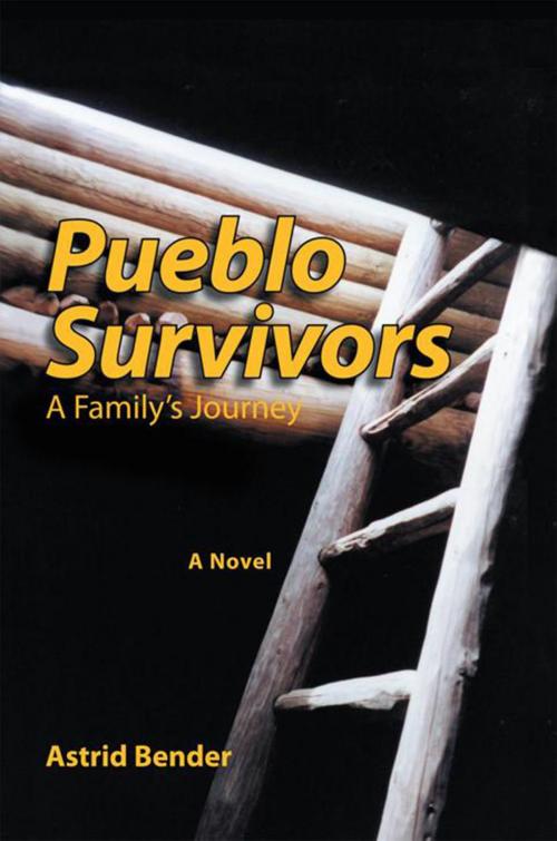 Cover of the book Pueblo Survivors by Astrid Bender, Xlibris US