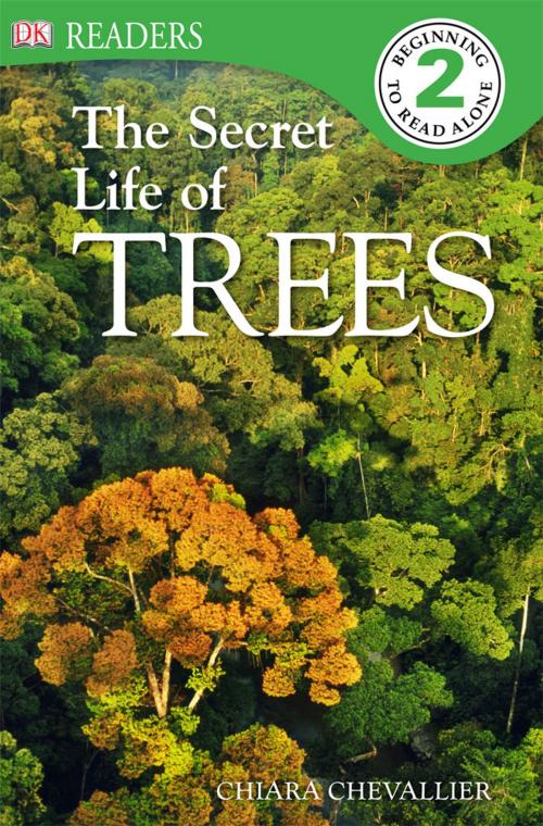 Cover of the book DK Readers L2: The Secret Life of Trees by Chiara Chevallier, DK Publishing