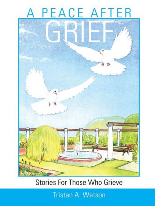 Cover of the book A Peace After Grief by Tristan A. Watson, Trafford Publishing