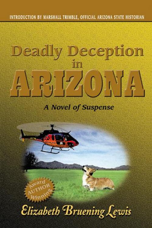 Cover of the book Deadly Deception in Arizona by Elizabeth Bruening Lewis, Trafford Publishing