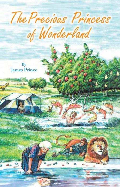 Cover of the book The Precious Princess of Wonderland by James Prince, Trafford Publishing