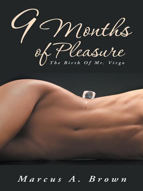 Cover of the book 9 Months of Pleasure by Marcus A. Brown, AuthorHouse