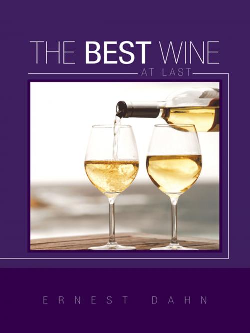 Cover of the book The Best Wine at Last by Ernest Dahn, AuthorHouse