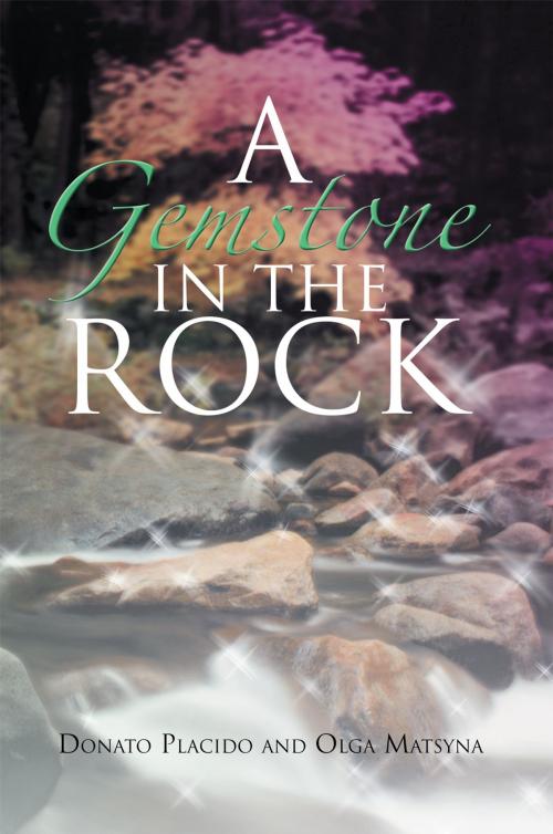 Cover of the book A Gemstone in the Rock by Donato Placido, Olga Matsyna, Xlibris UK