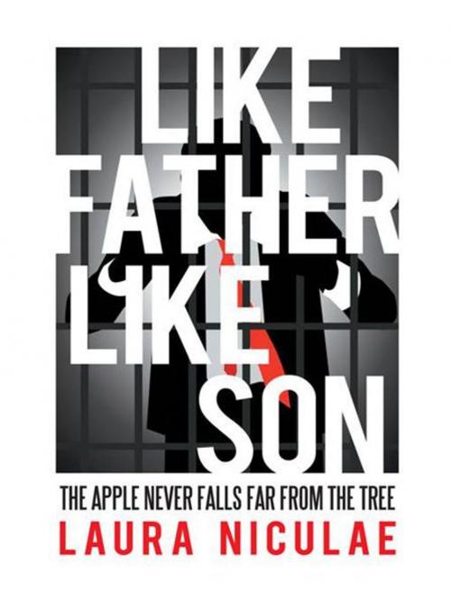 Cover of the book Like Father, Like Son by Laura Niculae, iUniverse