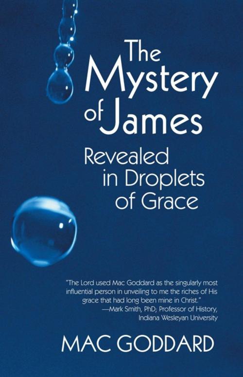 Cover of the book The Mystery of James Revealed in Droplets of Grace by Mac Goddard, iUniverse