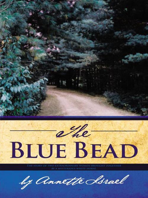 Cover of the book The Blue Bead by Annette Israel, iUniverse