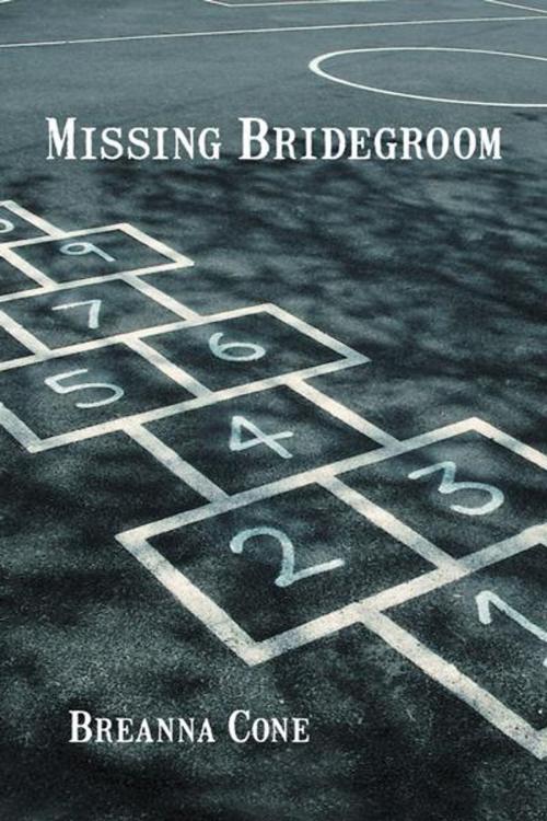 Cover of the book Missing Bridegroom by Breanna Cone, iUniverse