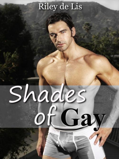 Cover of the book Shades of Gay (M/M Erotica) by Riley de Lis, Riley de Lis