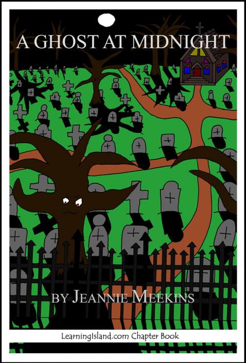 Cover of the book A Ghost at Midnight: A Scary Ghost Story by Jeannie Meekins, LearningIsland.com