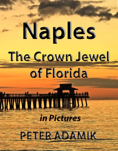 Cover of the book Naples The Crown Jewel of Florida in Pictures by Peter Adamik, Peter Adamik