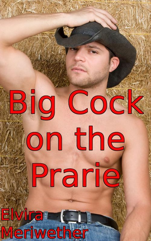 Cover of the book Big Cock on the Prarie by Elvira Meriwether, Elvira Meriwether