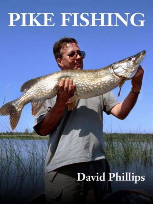Cover of the book Pike Fishing by David Phillips, David Phillips