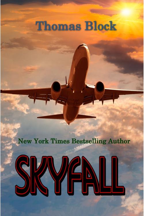Cover of the book Skyfall by Thomas Block, Thomas Block