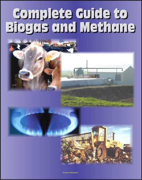Cover of the book 21st Century Complete Guide to Biogas and Methane: Agricultural Recovery, Manure Digesters, AgSTAR, Landfill Methane, Greenhouse Gas Emission Reduction and Global Methane Initiative by Progressive Management, Progressive Management