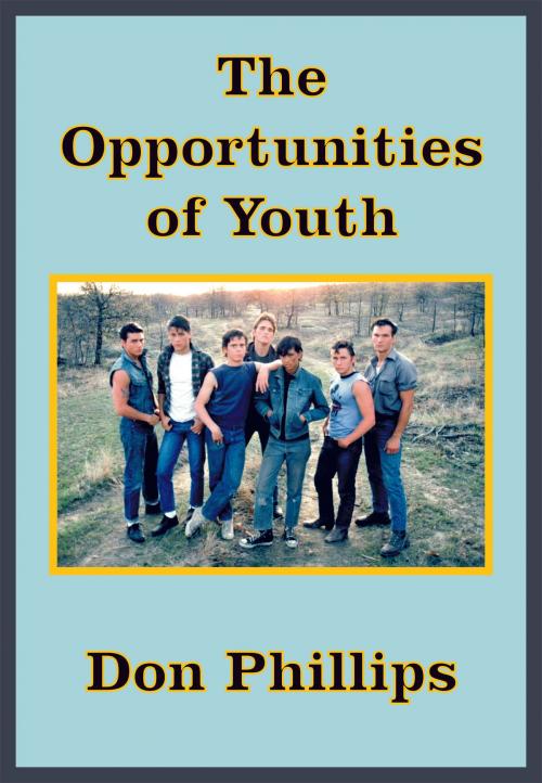 Cover of the book The Opportunities of Youth by Donald Phillips, Donald Phillips