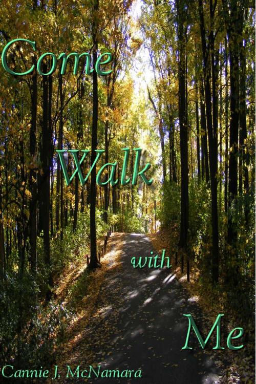 Cover of the book Come Walk with Me by Cannie J McNamara, Cannie J McNamara