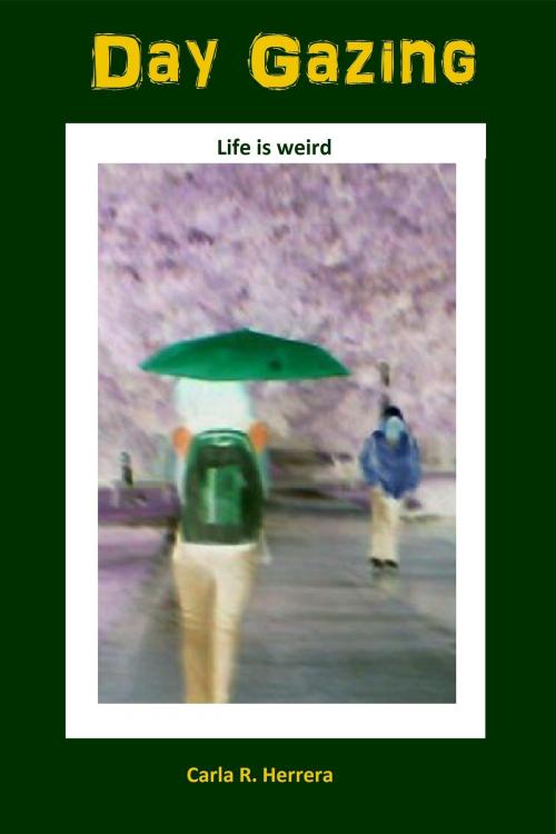 Cover of the book Day Gazing: Weird Shorts by Carla Herrera, Carla Herrera