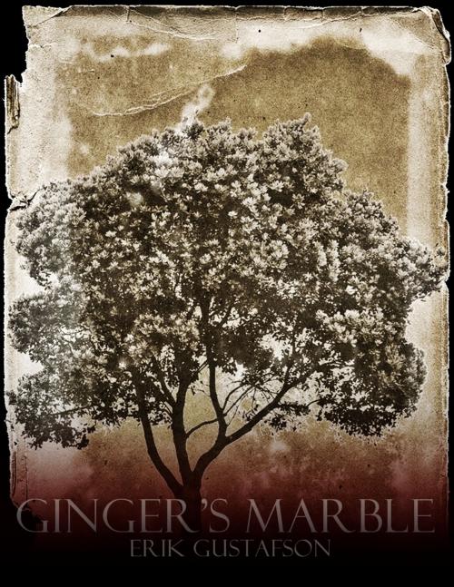 Cover of the book Ginger's Marble by Erik Gustafson, Erik Gustafson