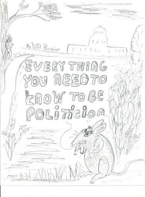 Cover of the book Everything You Need to Know to be a Politician by Wit Flounder, Wit Flounder