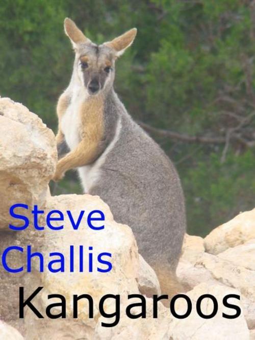 Cover of the book Kangaroos by Steve Challis, Steve Challis