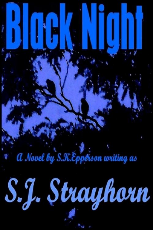 Cover of the book Black Night by S.K. Epperson, S.K. Epperson