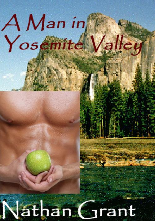 Cover of the book A Man in Yosemite Valley by Nathan Grant, Nathan Grant