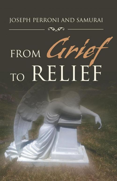 Cover of the book From Grief to Relief by Joseph Perroni, Samurai, Xlibris US