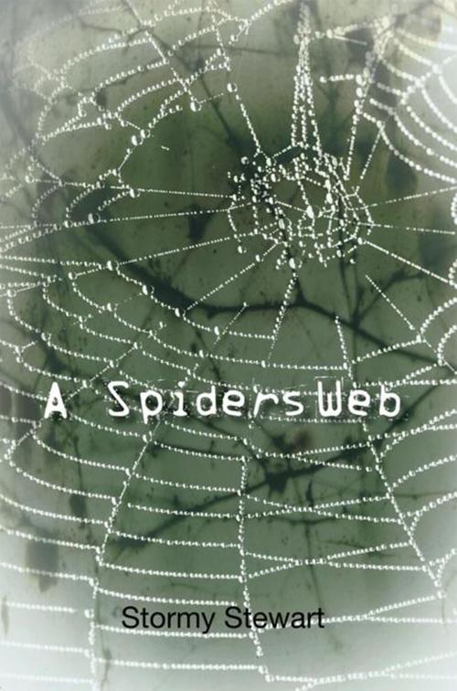 Cover of the book A Spiders Web by Stormy Stewart, Xlibris US