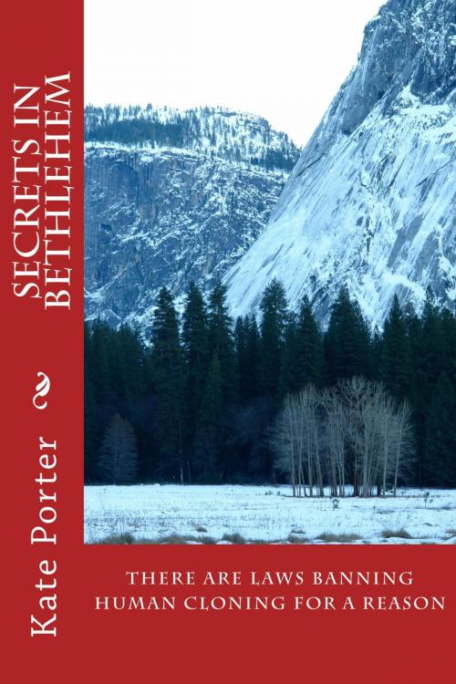 Cover of the book Secrets in Bethlehem by Kate Porter, BookBaby