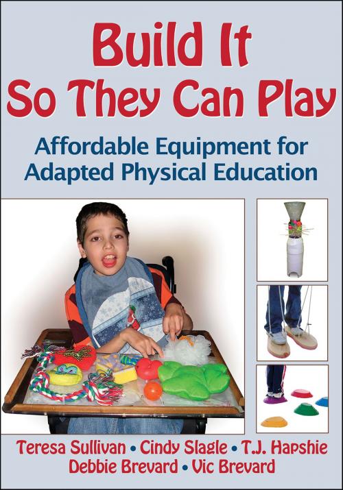 Cover of the book Build It So They Can Play by Teresa Sullivan, Cindy Slagle, Thelma Hapshie, Debbie Brevard, Vic Brevard, Human Kinetics, Inc.