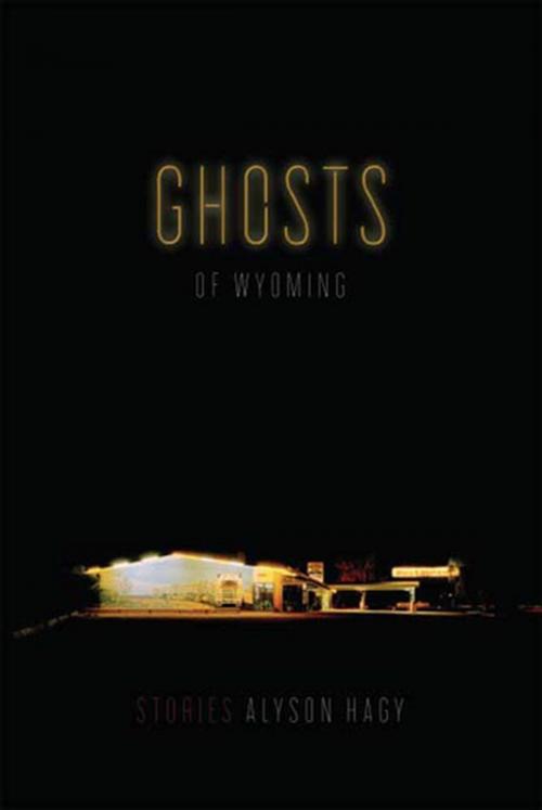 Cover of the book Ghosts of Wyoming by Alyson Hagy, Graywolf Press