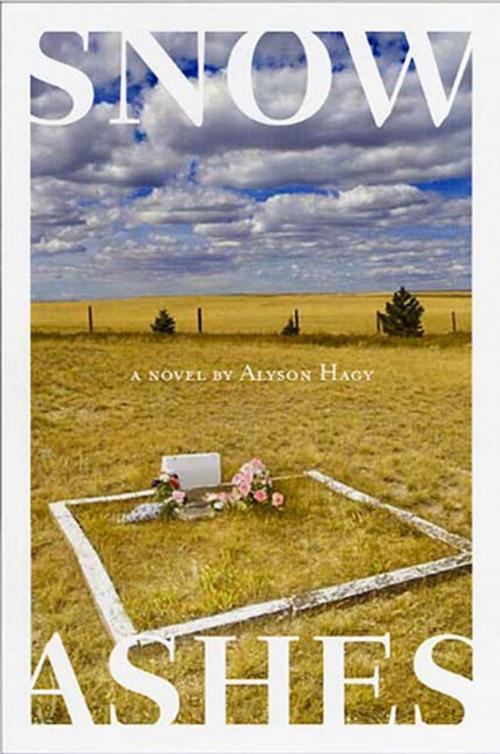 Cover of the book Snow, Ashes by Alyson Hagy, Graywolf Press