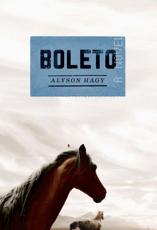 Cover of the book Boleto by Alyson Hagy, Graywolf Press