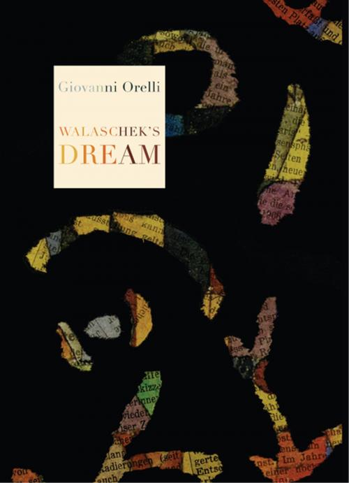Cover of the book Walaschek's Dream by Giovanni Orelli, Dalkey Archive Press