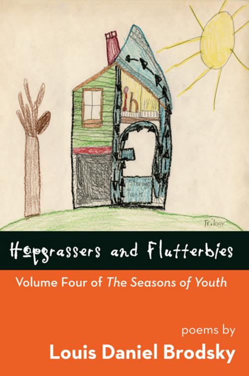 Cover of the book Hopgrassers and Flutterbies: Volume Four of The Seasons of Youth by Louis Daniel Brodsky, Time Being Books