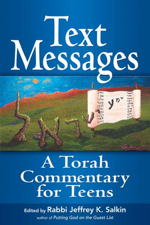 Cover of the book Text Messages: A Torah Commentary for Teens by Rabbi Jeffrey K. Salkin, Jewish Lights Publishing