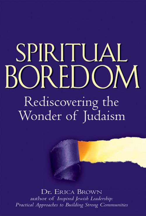 Cover of the book Spiritual Boredom by Dr. Erica Brown, Turner Publishing Company