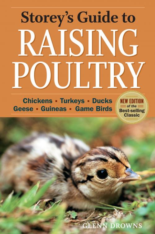 Cover of the book Storey's Guide to Raising Poultry, 4th Edition by Glenn Drowns, Storey Publishing, LLC