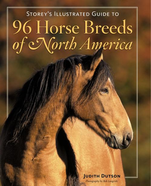 Cover of the book Storey's Illustrated Guide to 96 Horse Breeds of North America by Judith Dutson, Storey Publishing, LLC