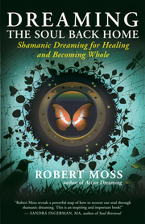 Cover of the book Dreaming the Soul Back Home by Robert Moss, New World Library