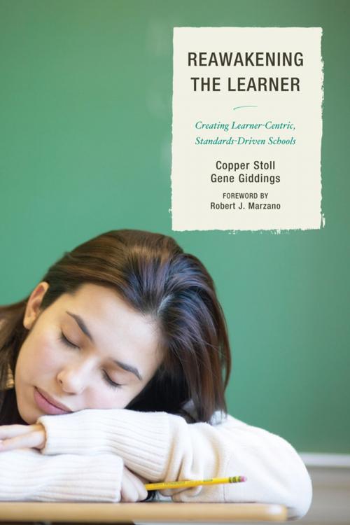 Cover of the book Re-Awakening the Learner by Copper Stoll, Gene Giddings, R&L Education