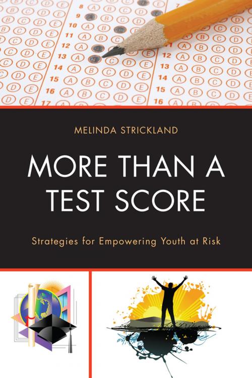 Cover of the book More than a Test Score by Melinda Strickland, R&L Education